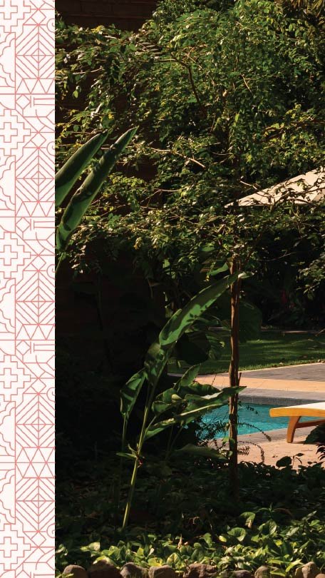 Vertical paranera-02