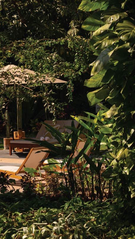 Vertical paranera-03