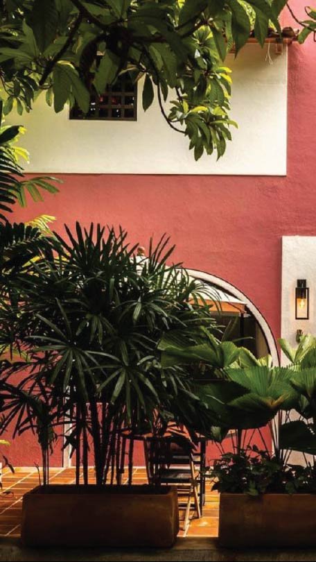 Vertical paranera-04