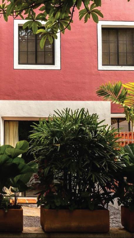 Vertical paranera-05